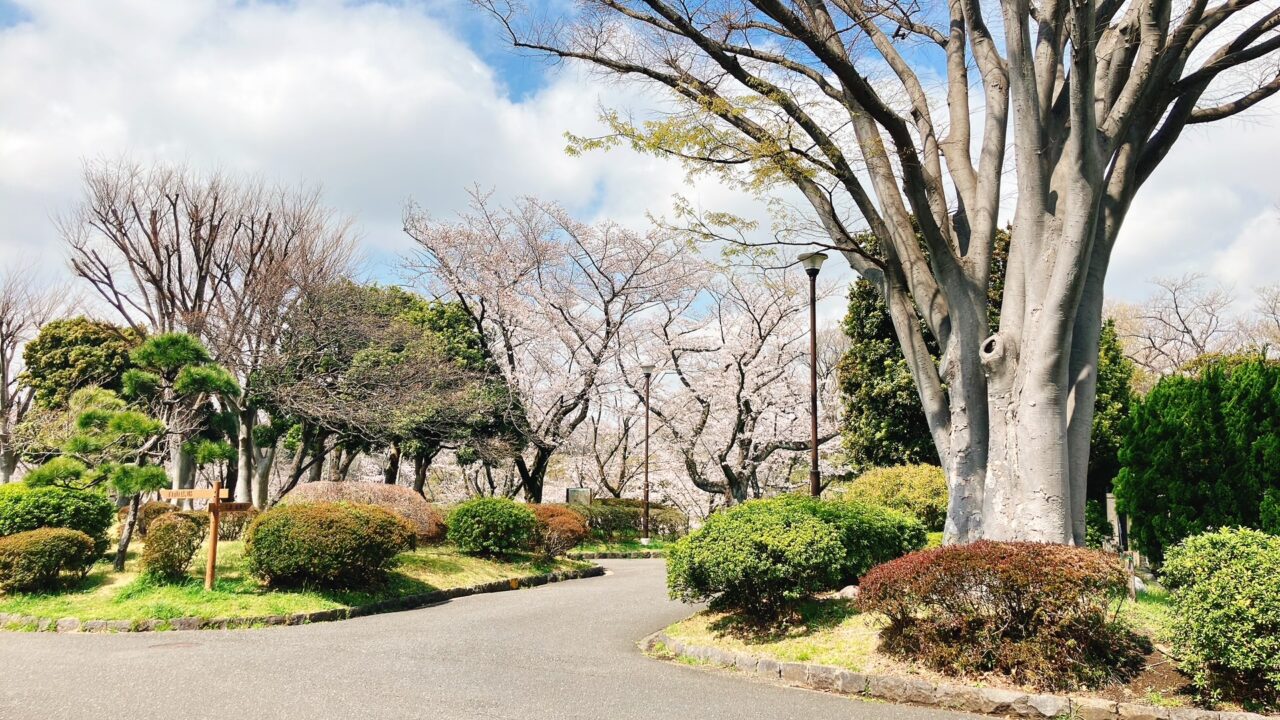 2026年4月「春の祭典」久良岐公園