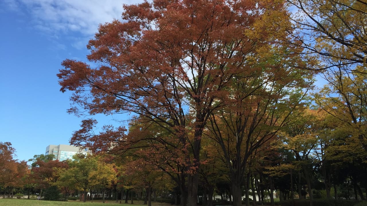 熱田区神宮東公園④