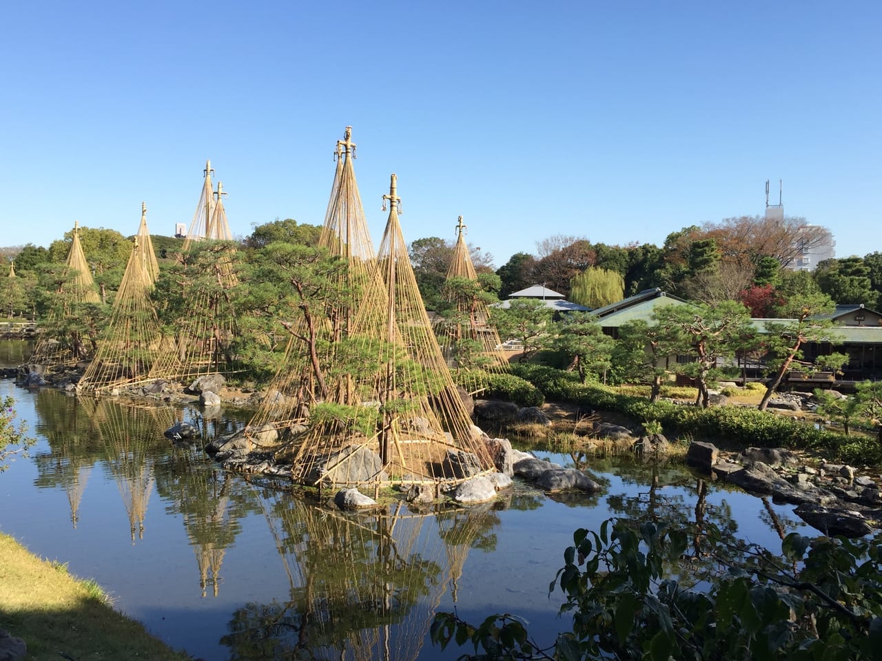 熱田ブランド川柳募集-白鳥庭園風景