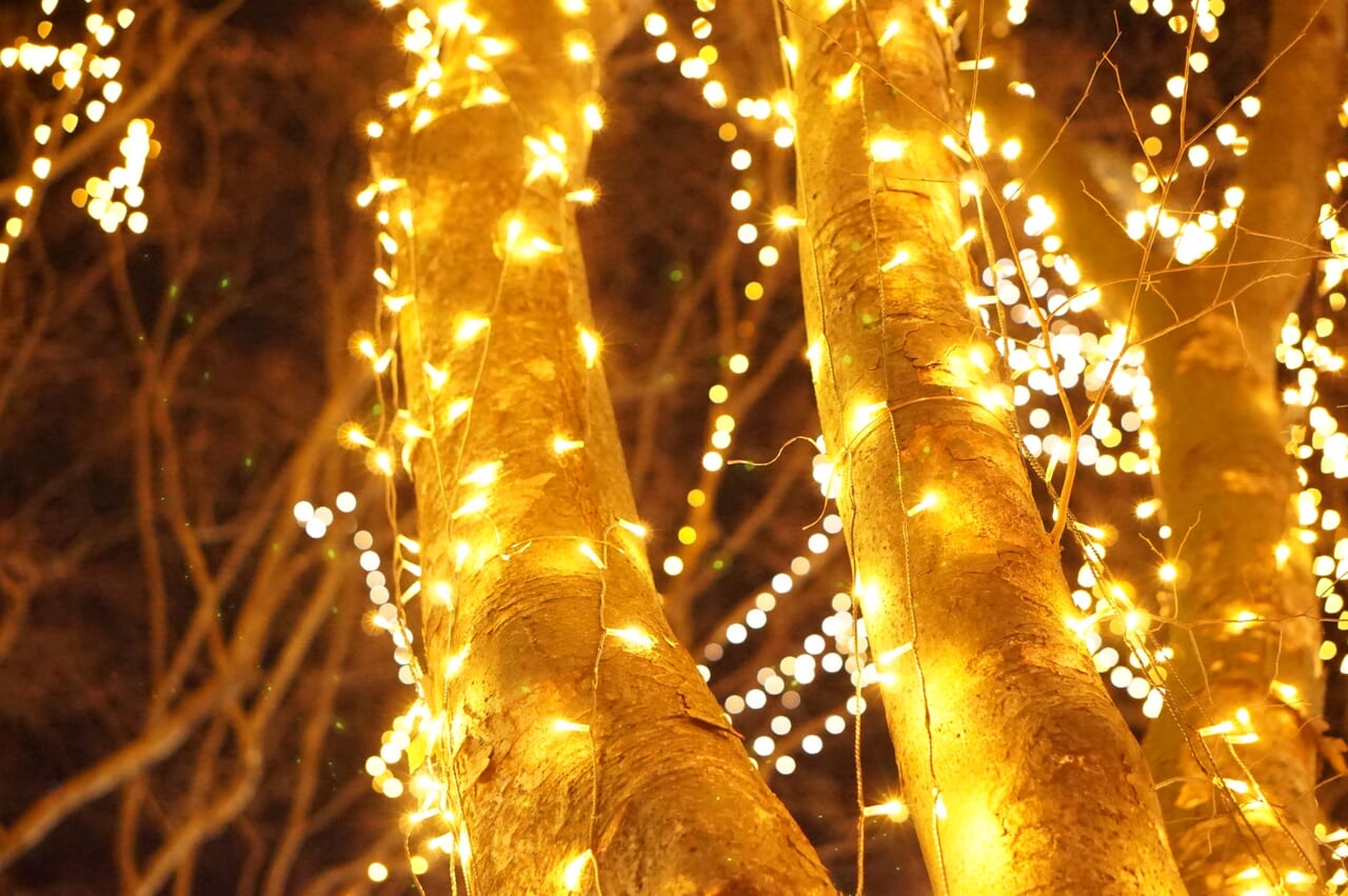 光のページェントイメージ画像