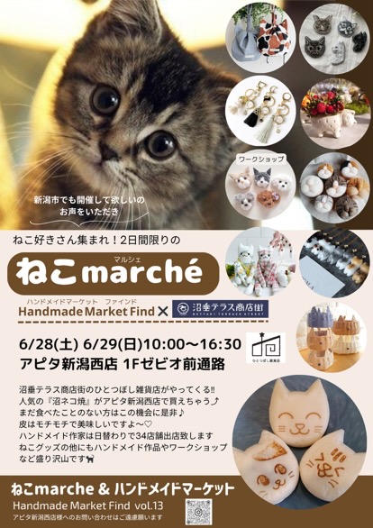 新潟市西区小新アピタ新潟西店のねこmarcheのフライヤー