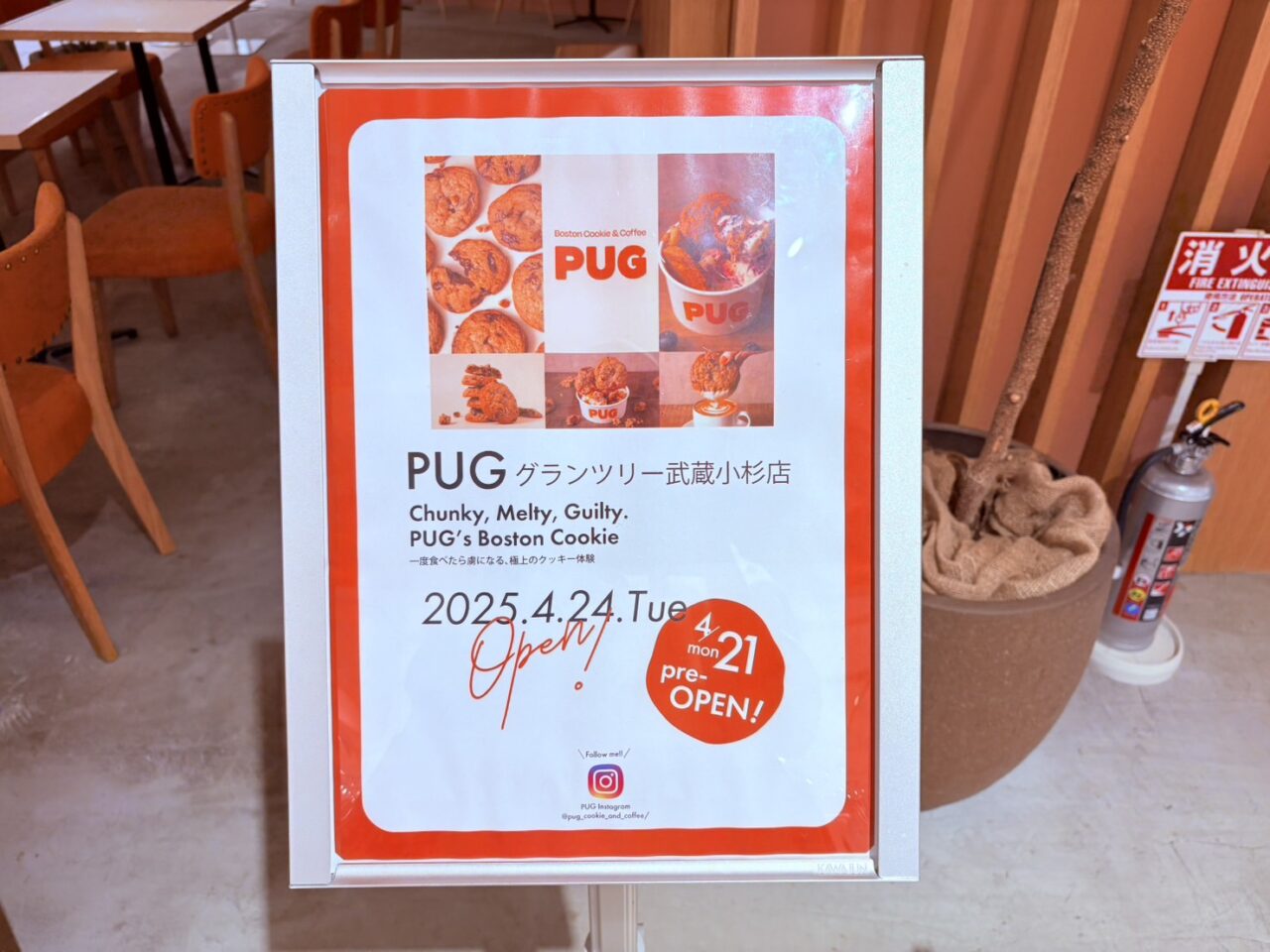pug