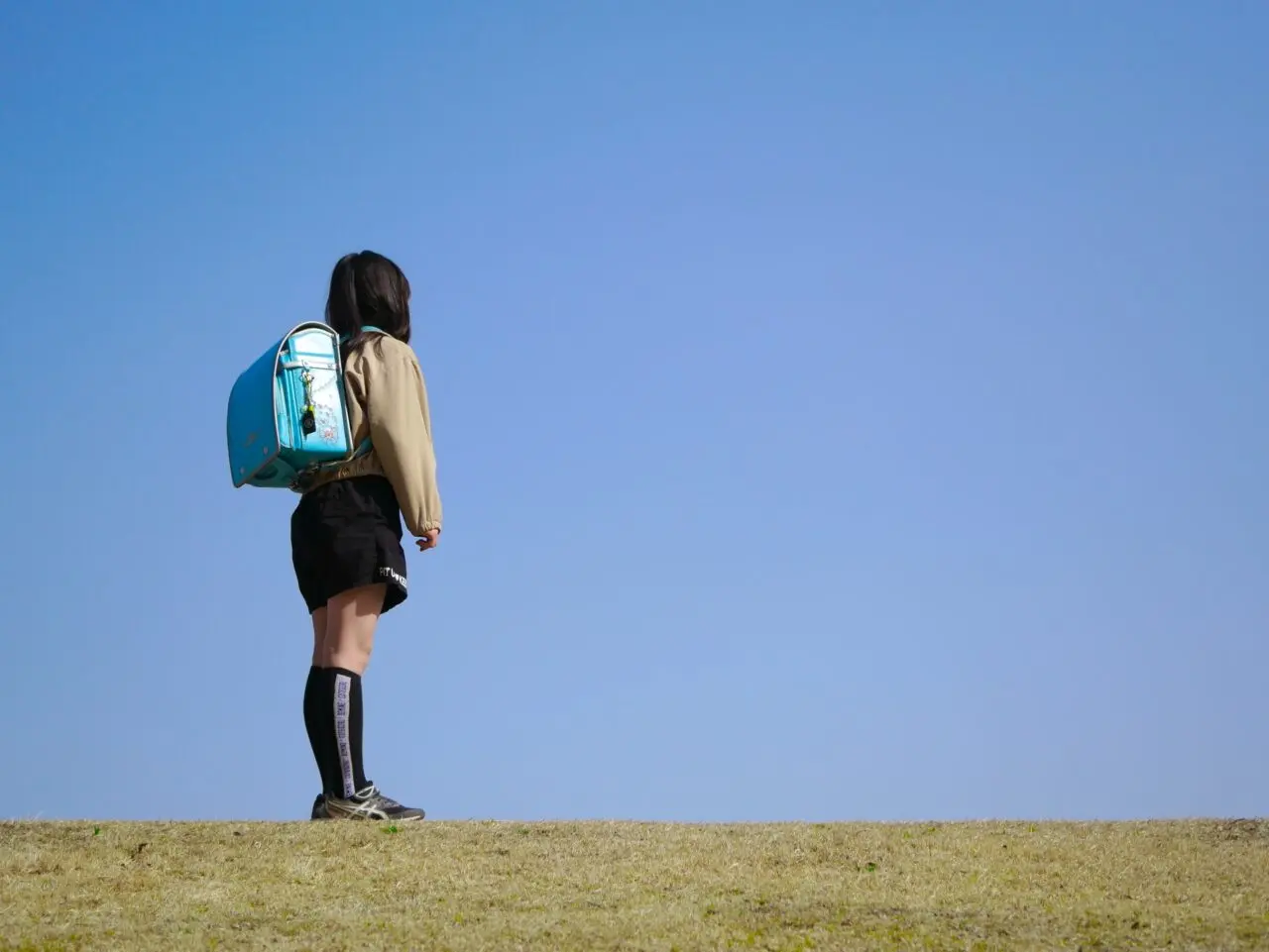 学校