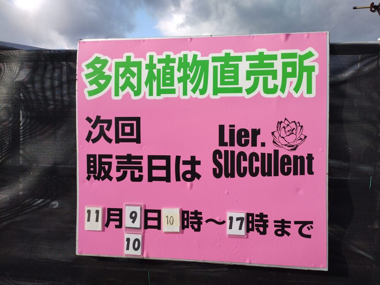 多肉植物直売所