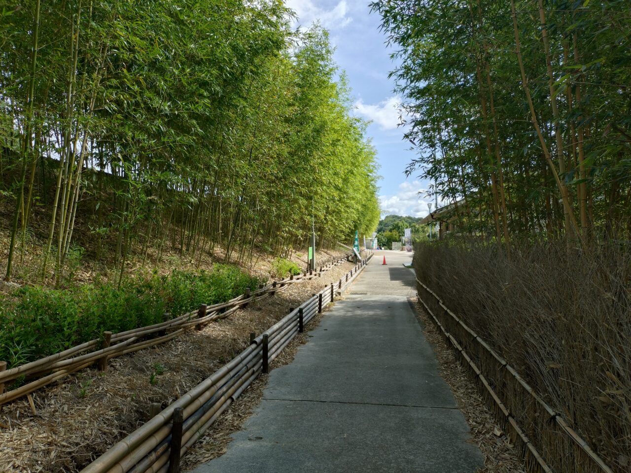 高山竹林園