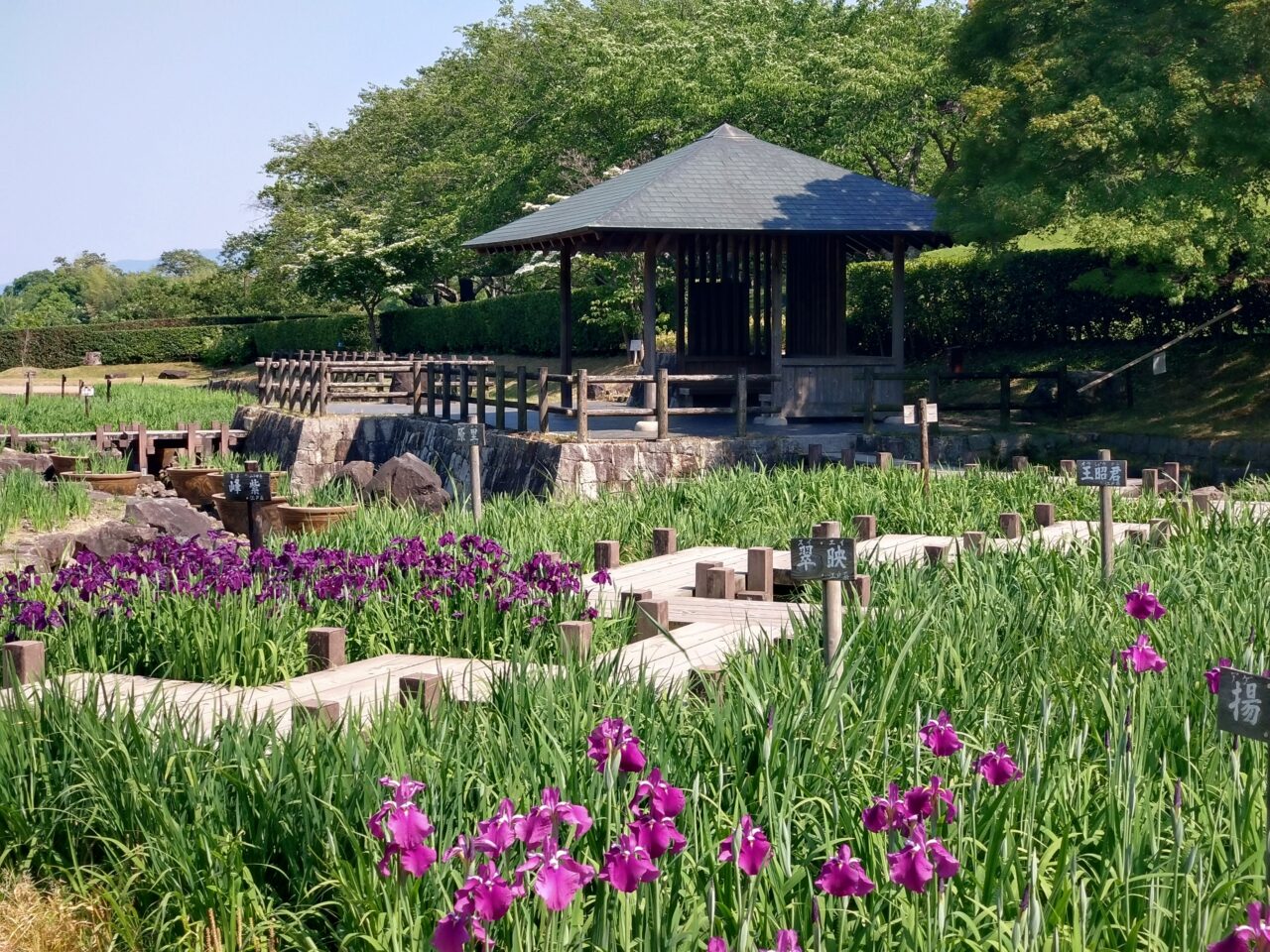 馬見丘陵公園