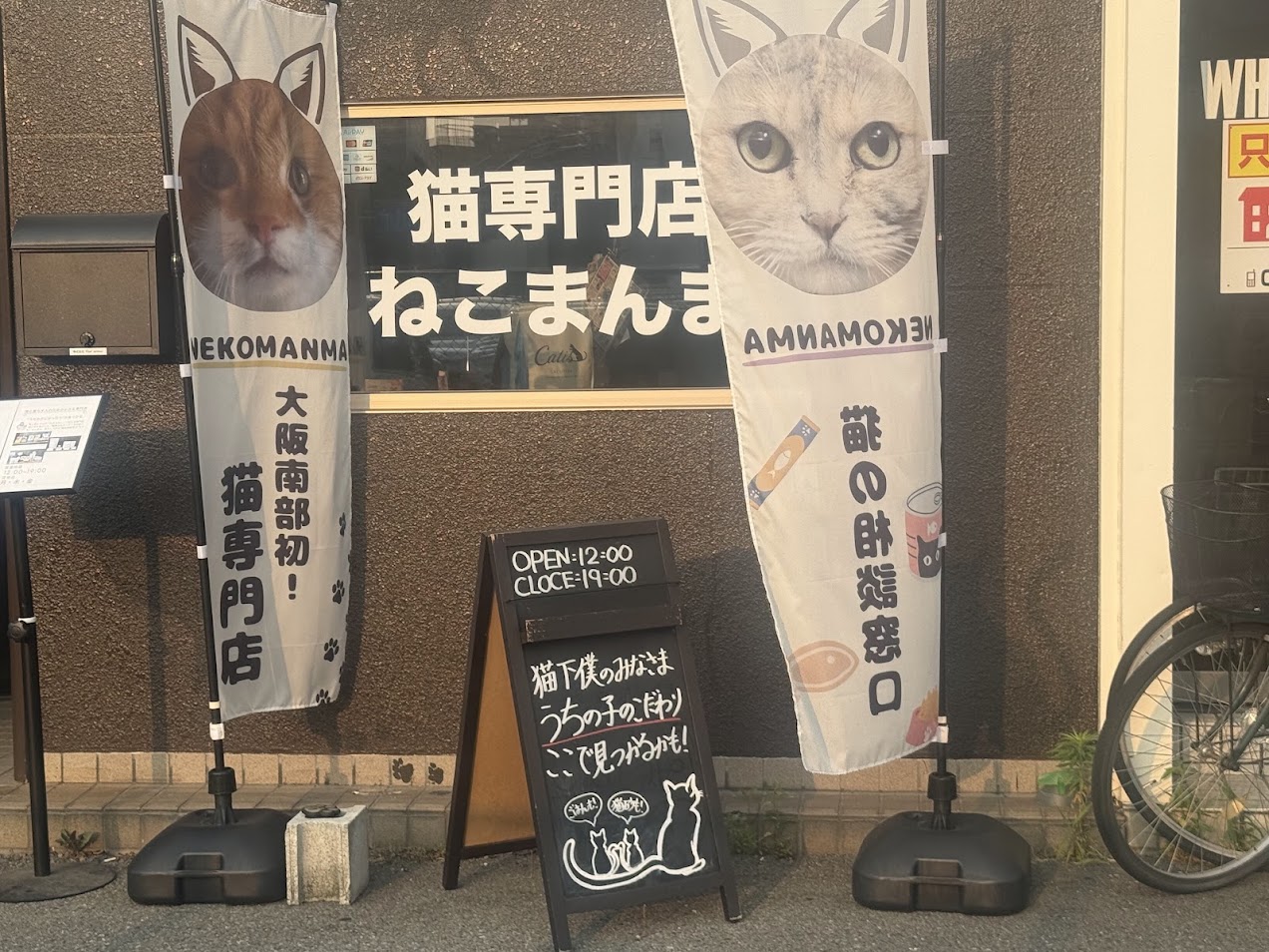 猫まんま外観3