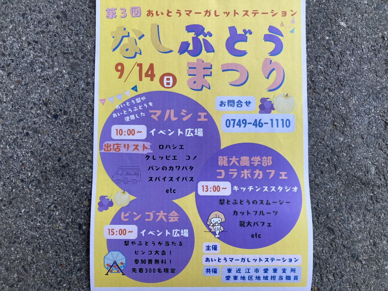 愛東マーガレット2