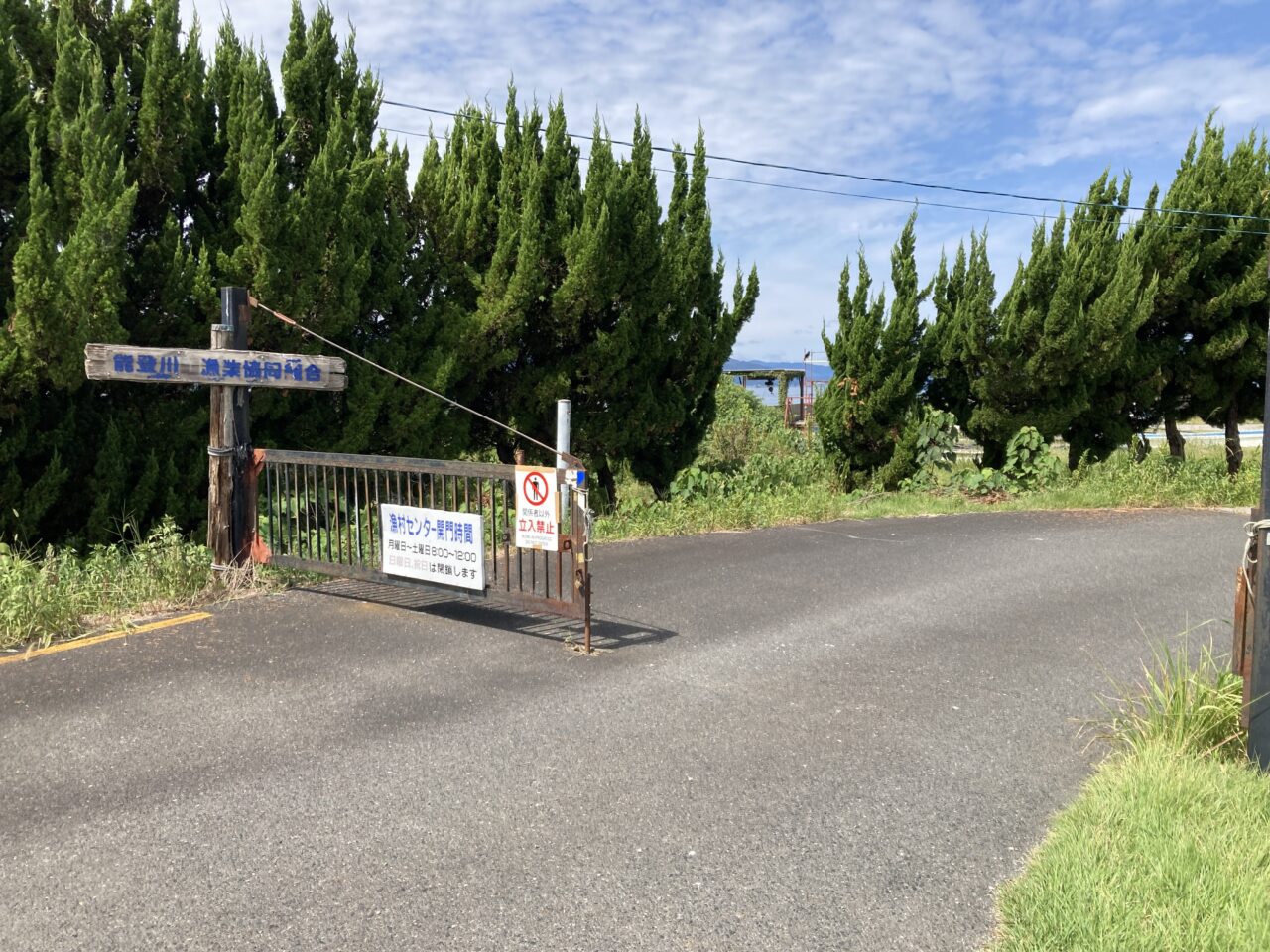 琵琶湖岸復活大作戦4