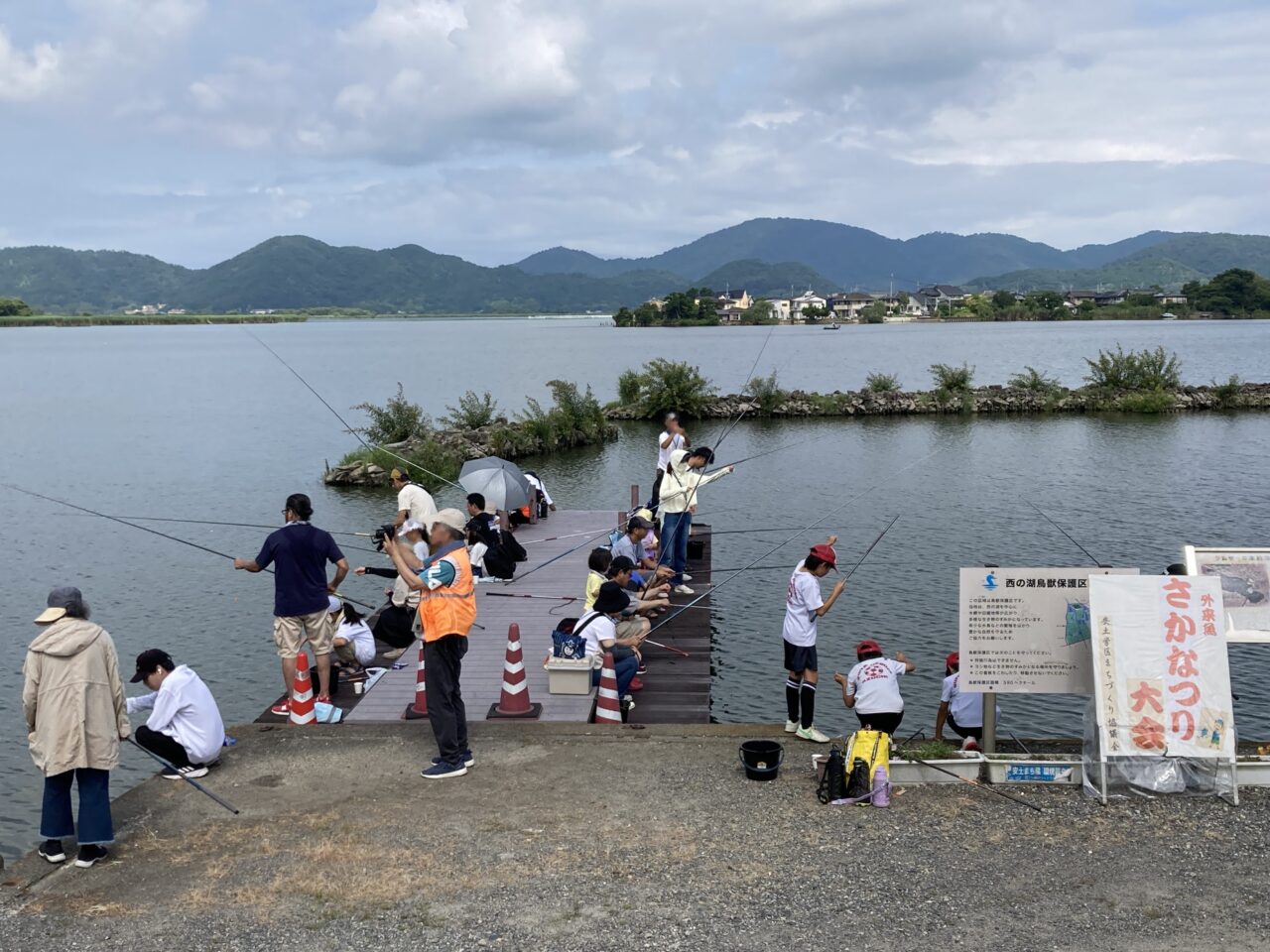 西の湖、魚2