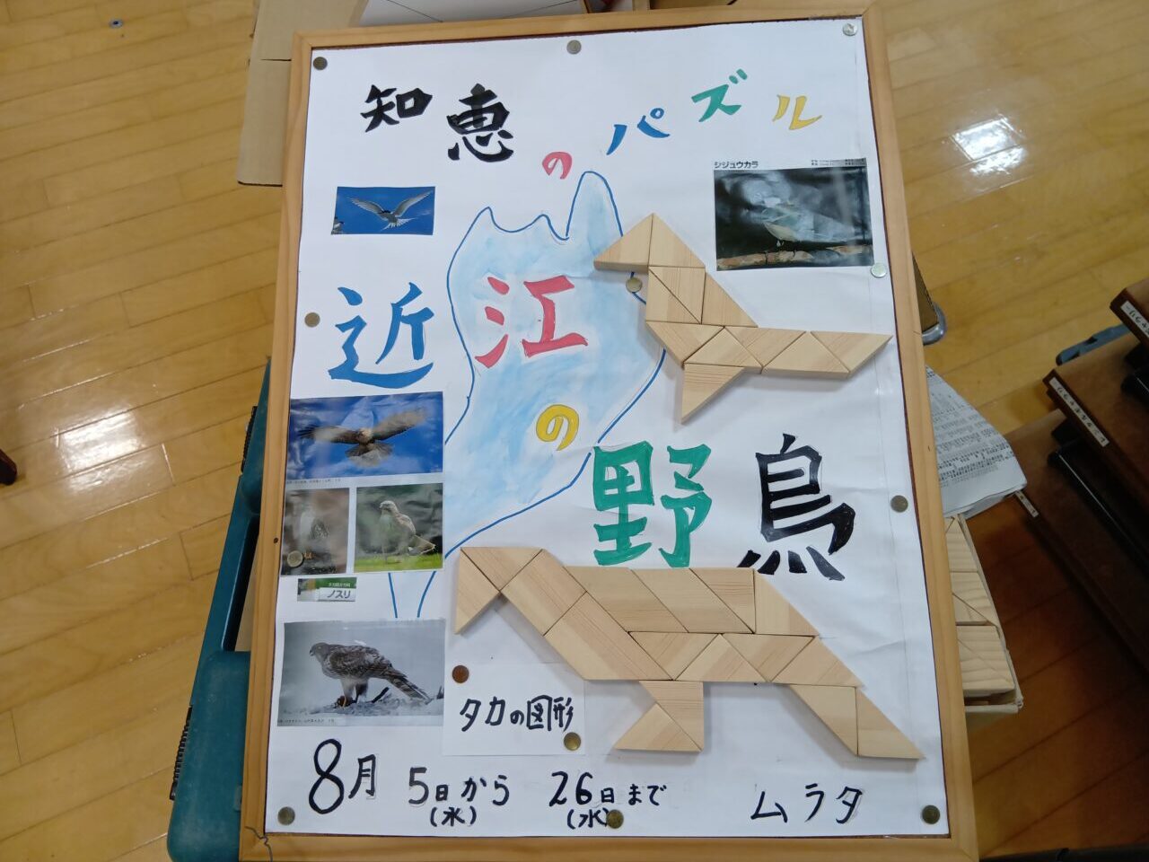 野鳥2