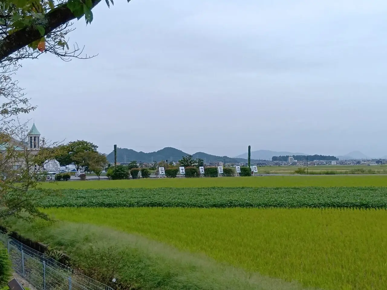 文芸