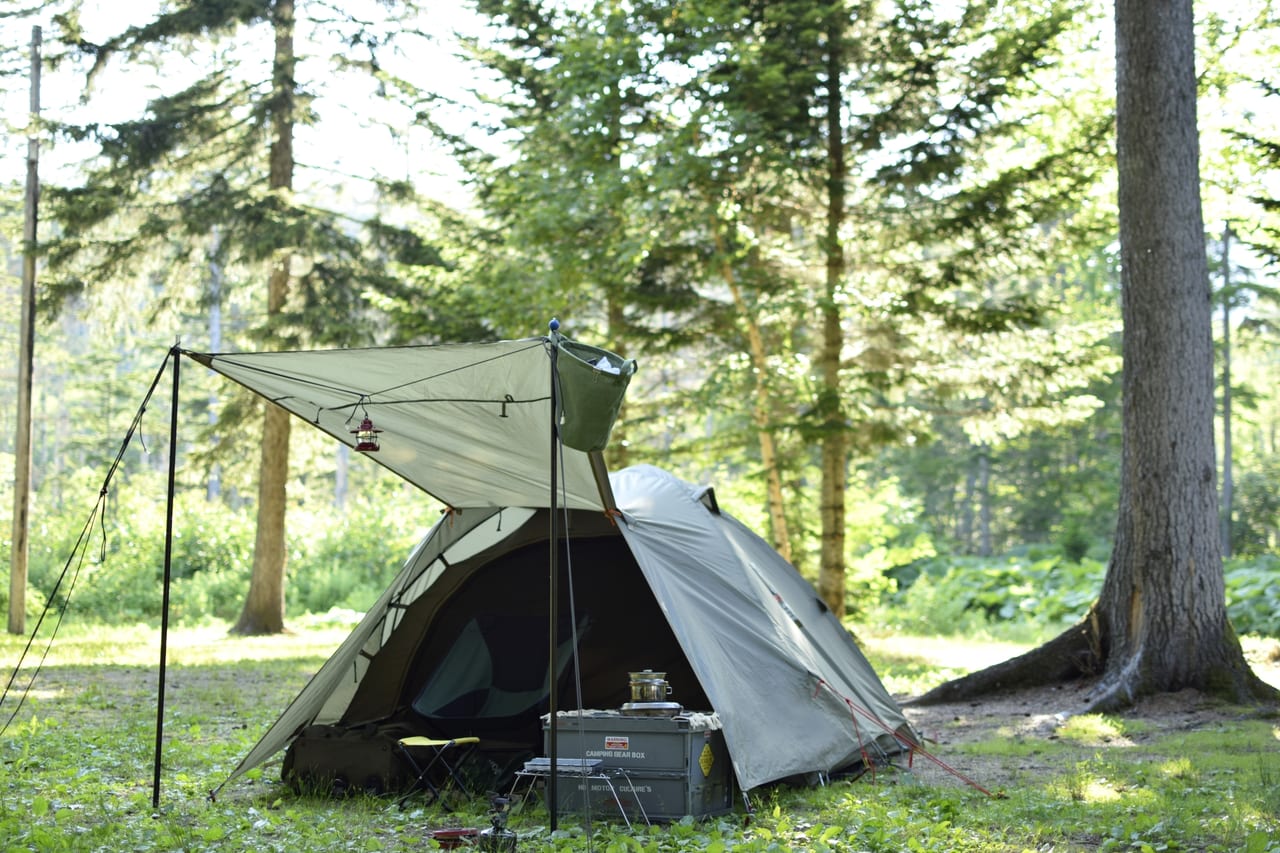 森の中でテントを張る写真