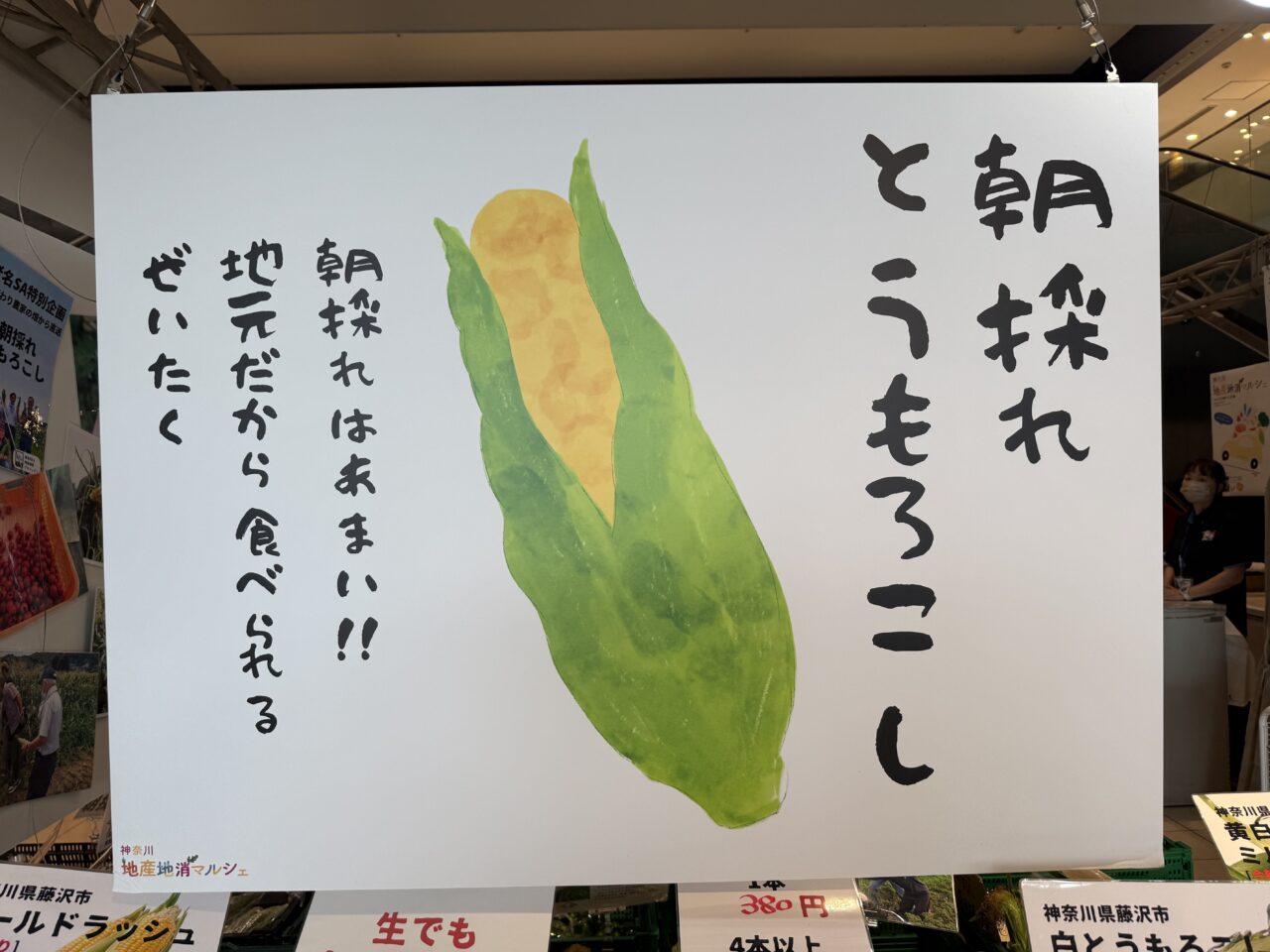海老名市海老名サービスエリア地産地消マルシェ、とうもろこし