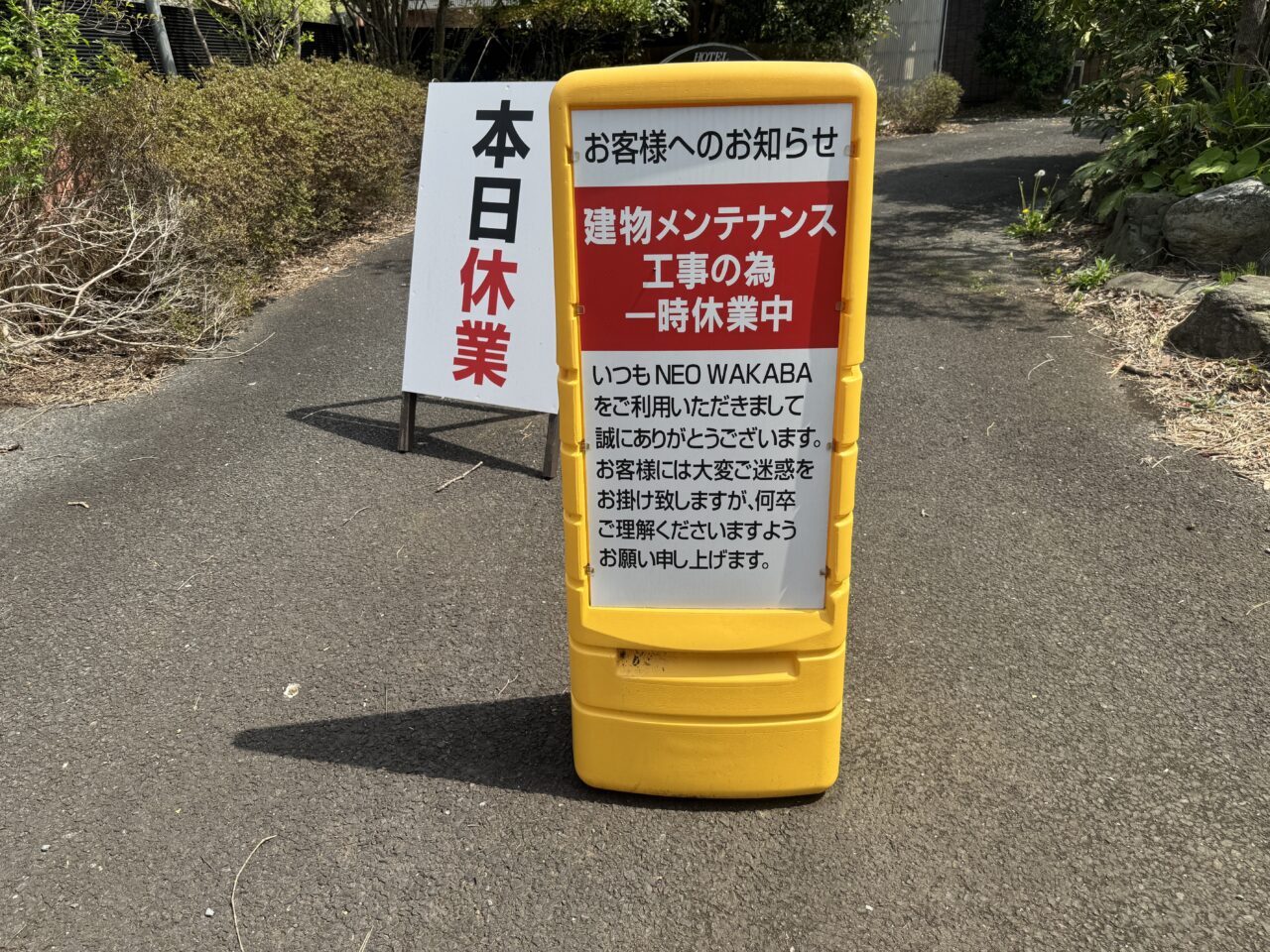 NEO WAKABA