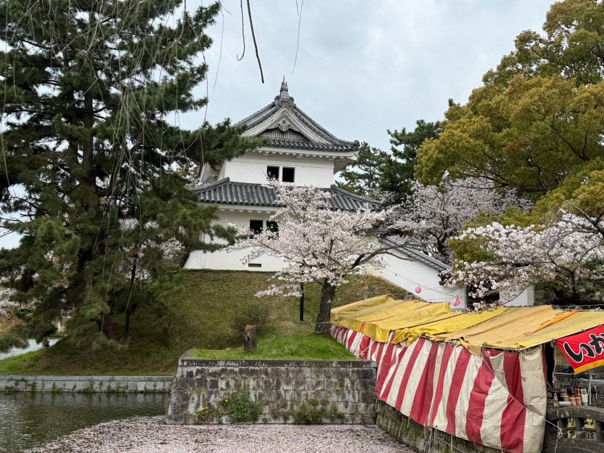 土浦桜まつり