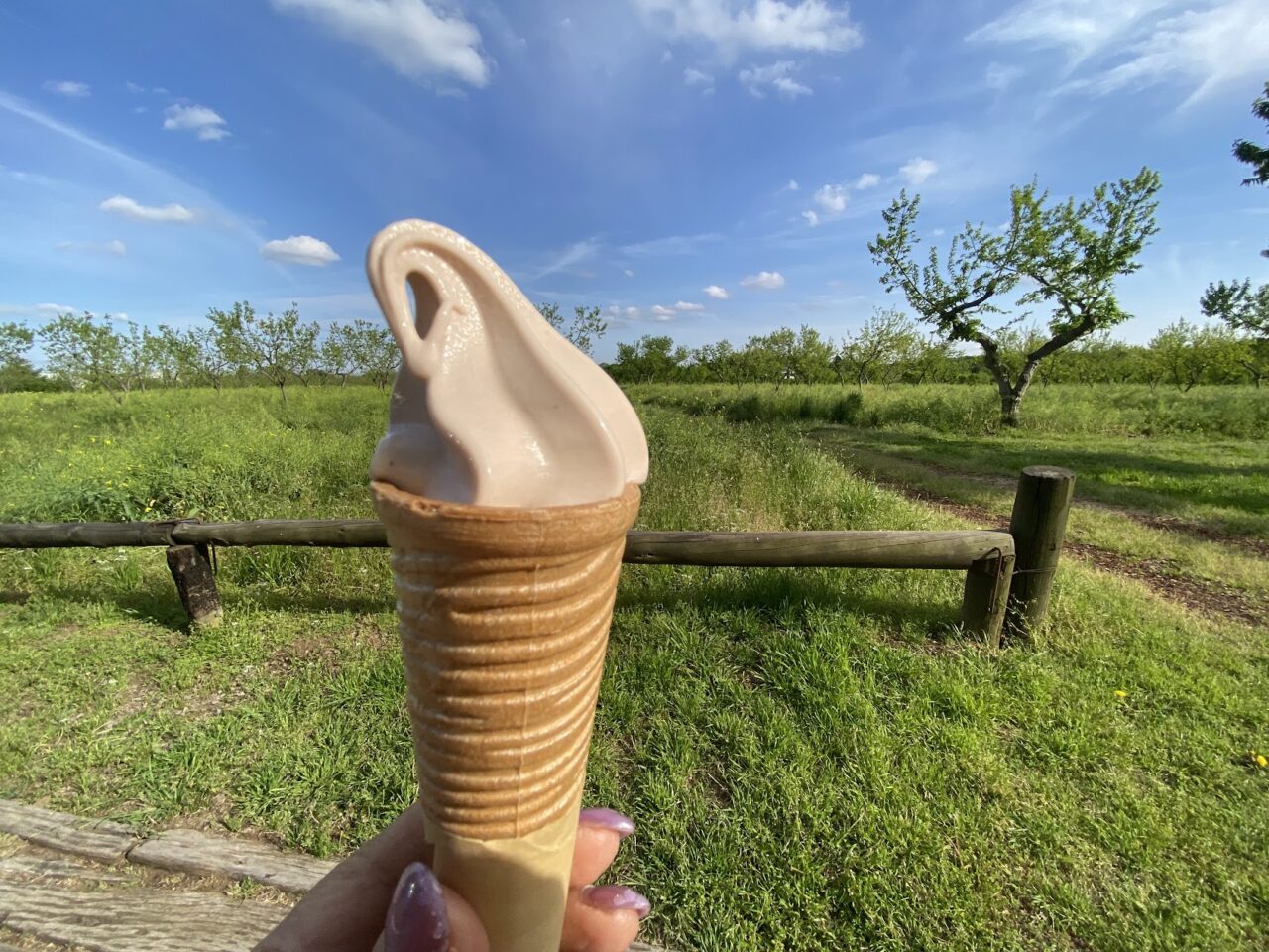 「四万騎農園」のマロンソフトクリーム