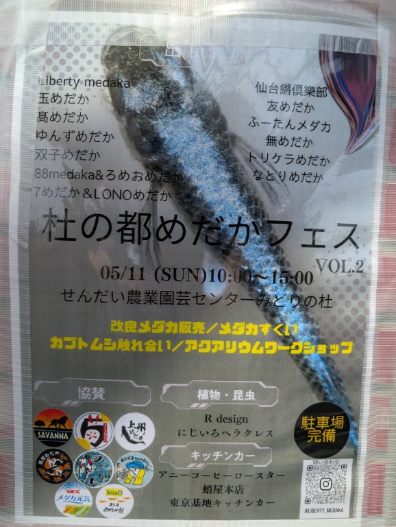 めだかフェス