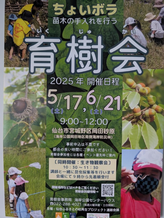 育樹１