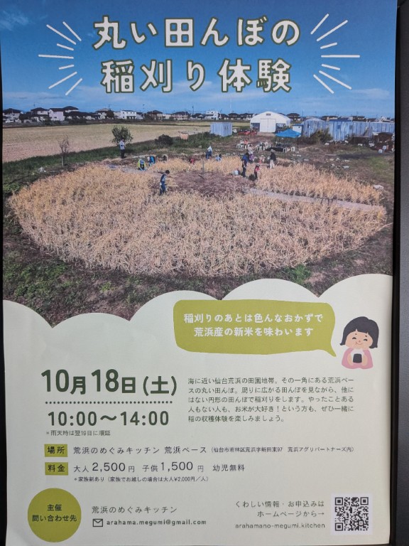 丸い田んぼ稲刈り