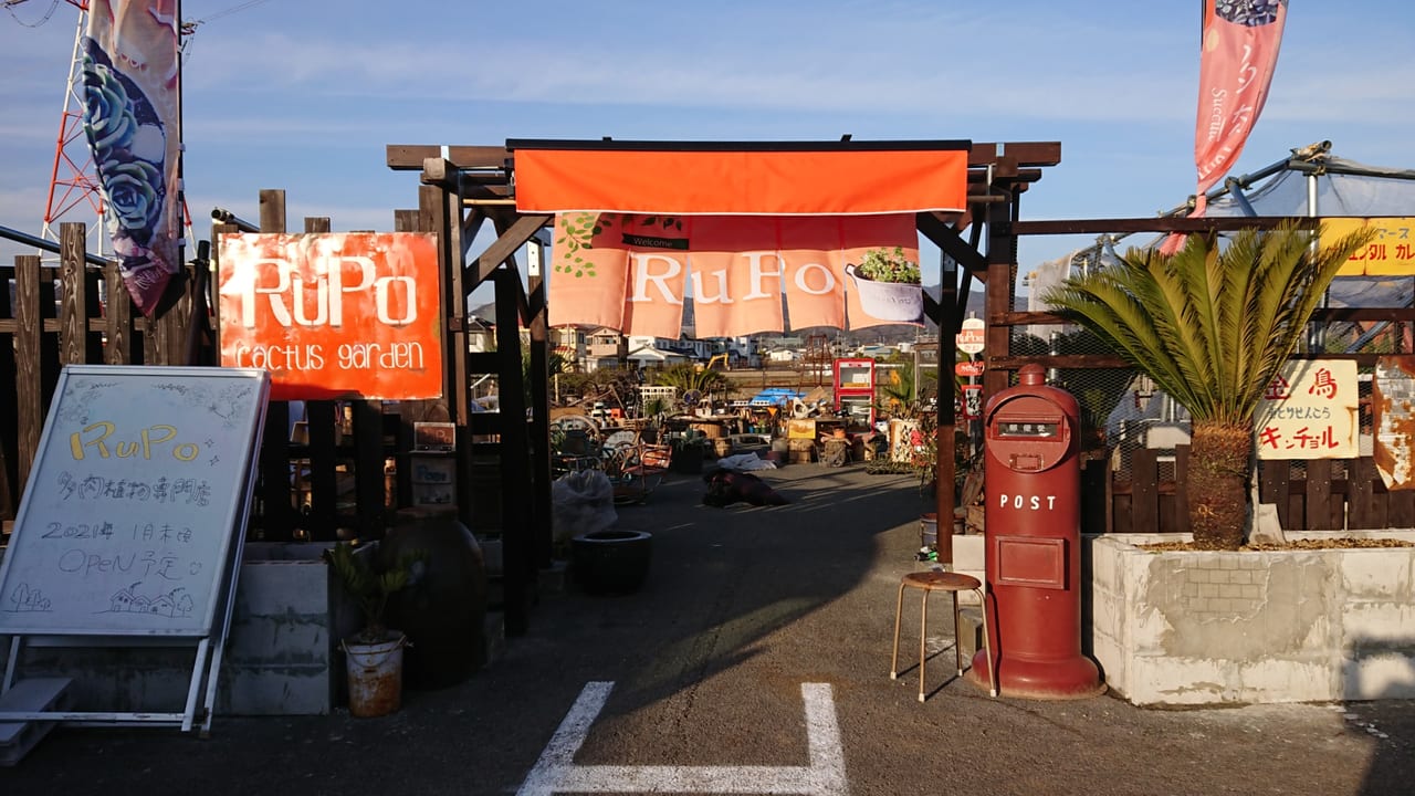和歌山県 多肉植物専門店 Rupo ルポ の新店舗はどんな感じ 気になるオープン日は 号外net 和歌山市