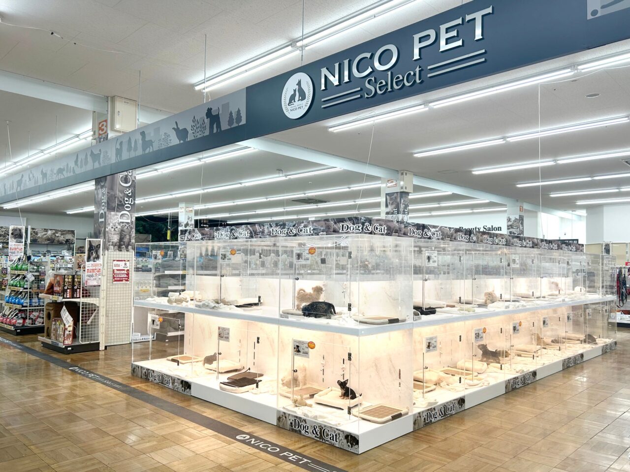 P’s-first岩槻店