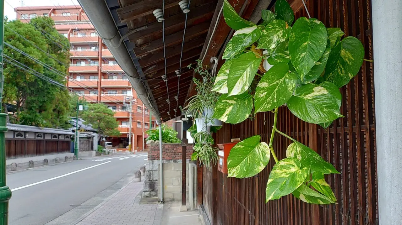 湯町の街並み