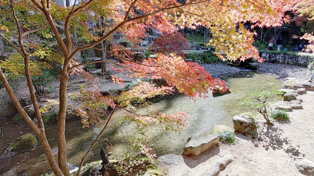 太宰府市】11月22日から竈門神社の紅葉ライトアップが始まります