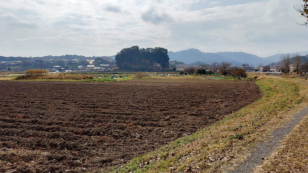 厳島神社がある小山