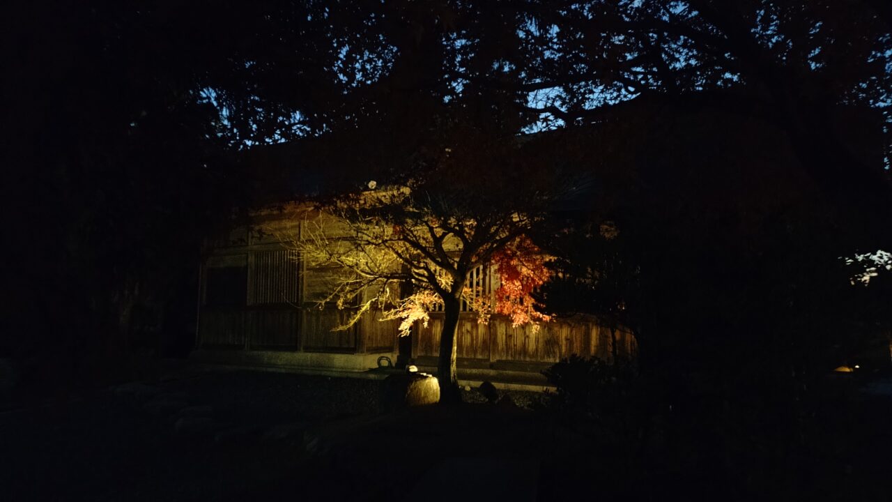 太宰府天満宮のライトアップされた紅葉