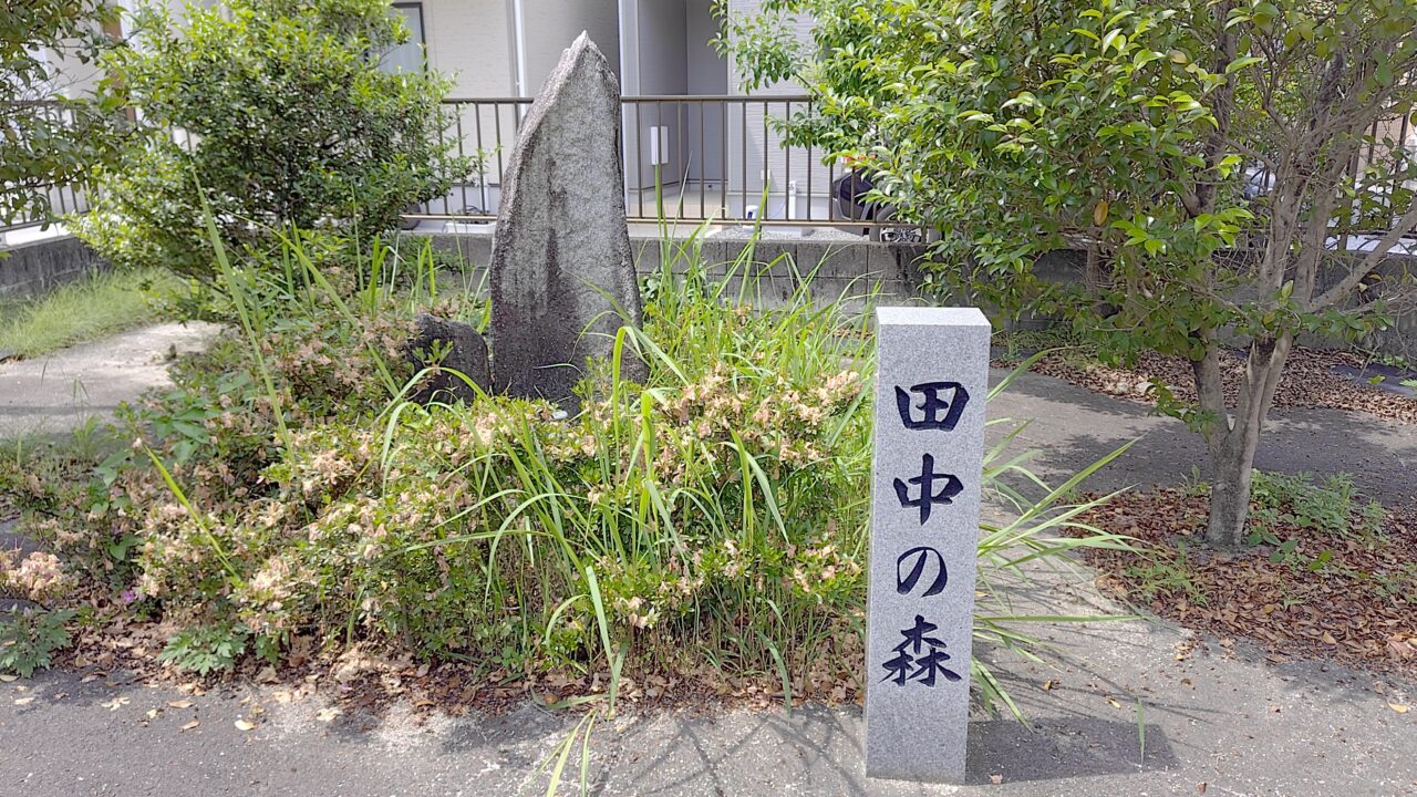 田中の森