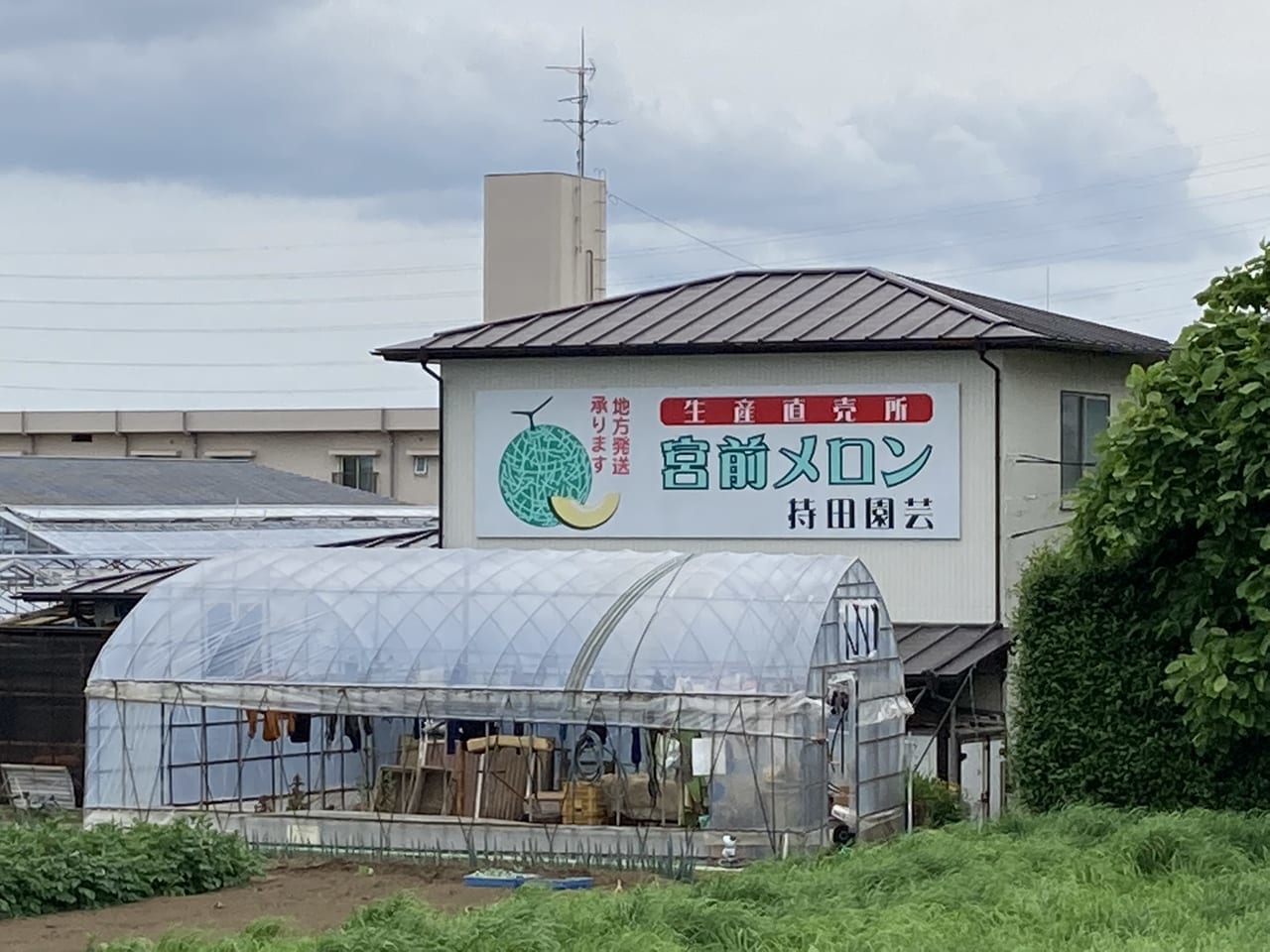 持田園芸の宮前メロン