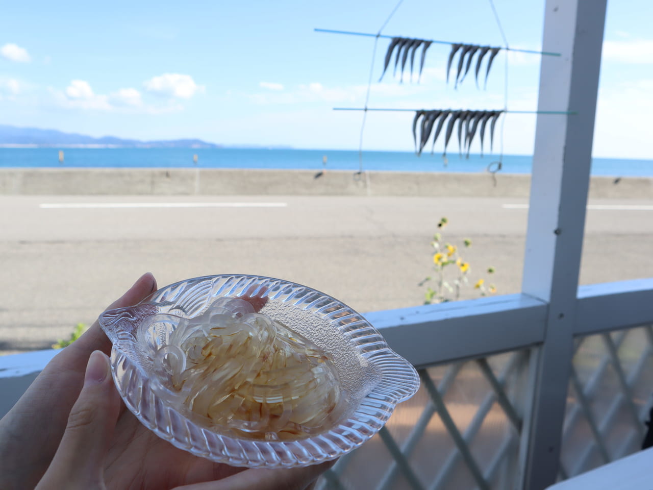 「豊田商店」海と干物と、ところてん