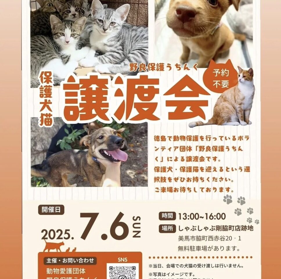 保護犬猫「野良保護うちんくの譲渡会」イベント内容。画像提供：「関係者」様