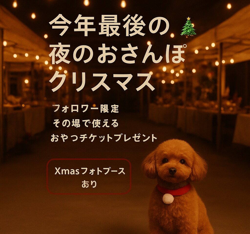 今年最後の「夜のおさんぽクリスマス」イベント関連画像。画像提供：「関係者」様