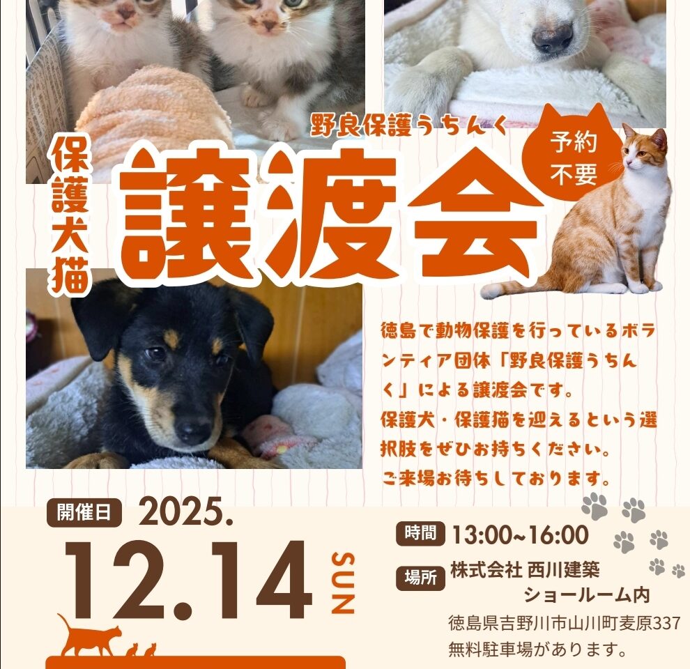 「保護犬猫の譲渡会」イベントに関する画像。画像提供：「関係者」様