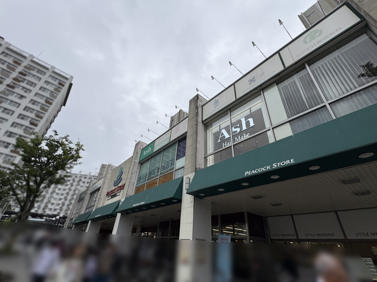 Ash 洋光台店