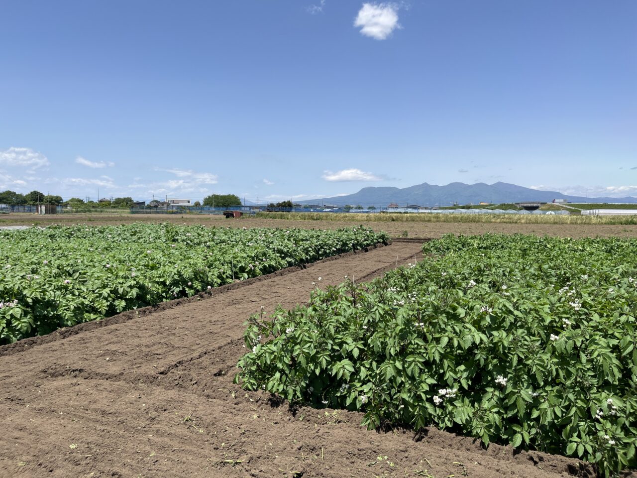 にこfarm