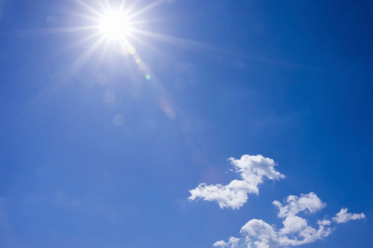 夏