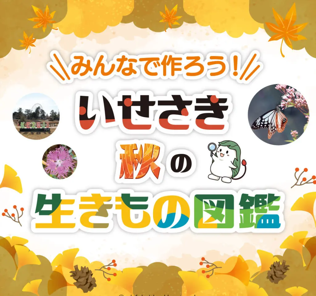 2026年9月23日いせさき秋の生きもの図鑑スクエア