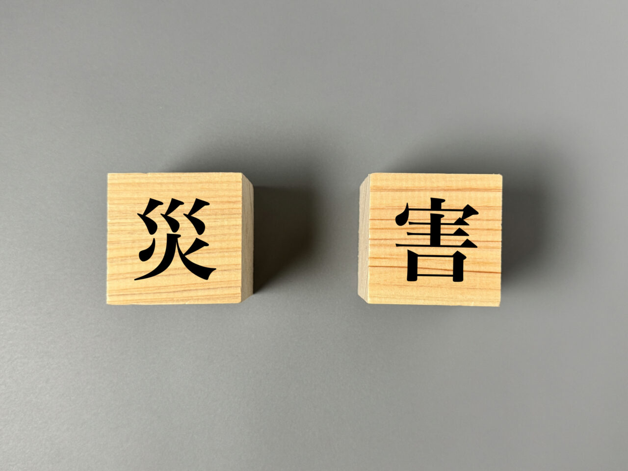 災害　地震　大雨