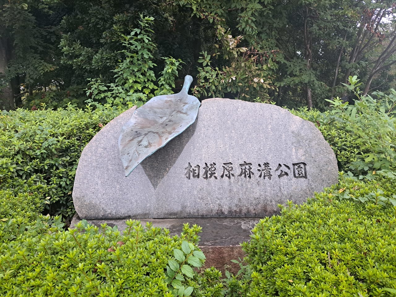 相模原麻溝公園