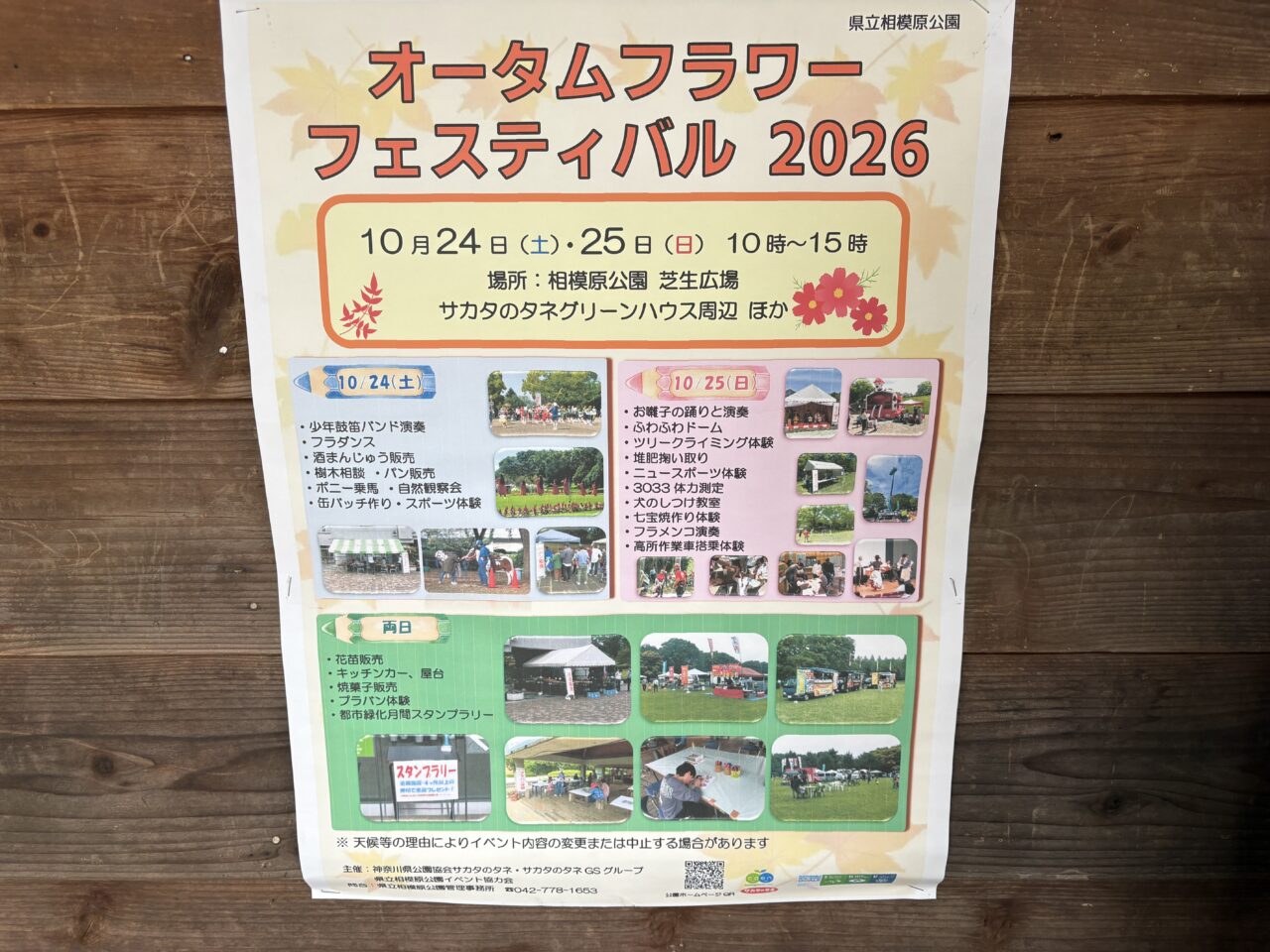 フラワーフェスティバル