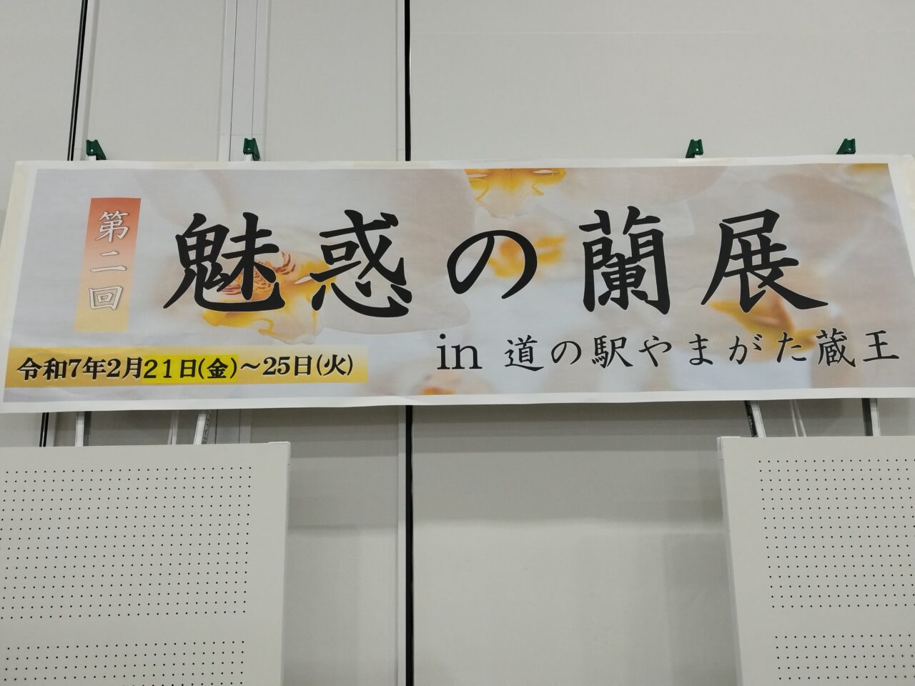 魅惑の蘭展 in 道の駅やまがた蔵王