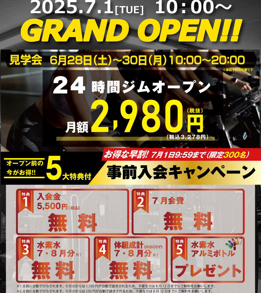 エコフィット