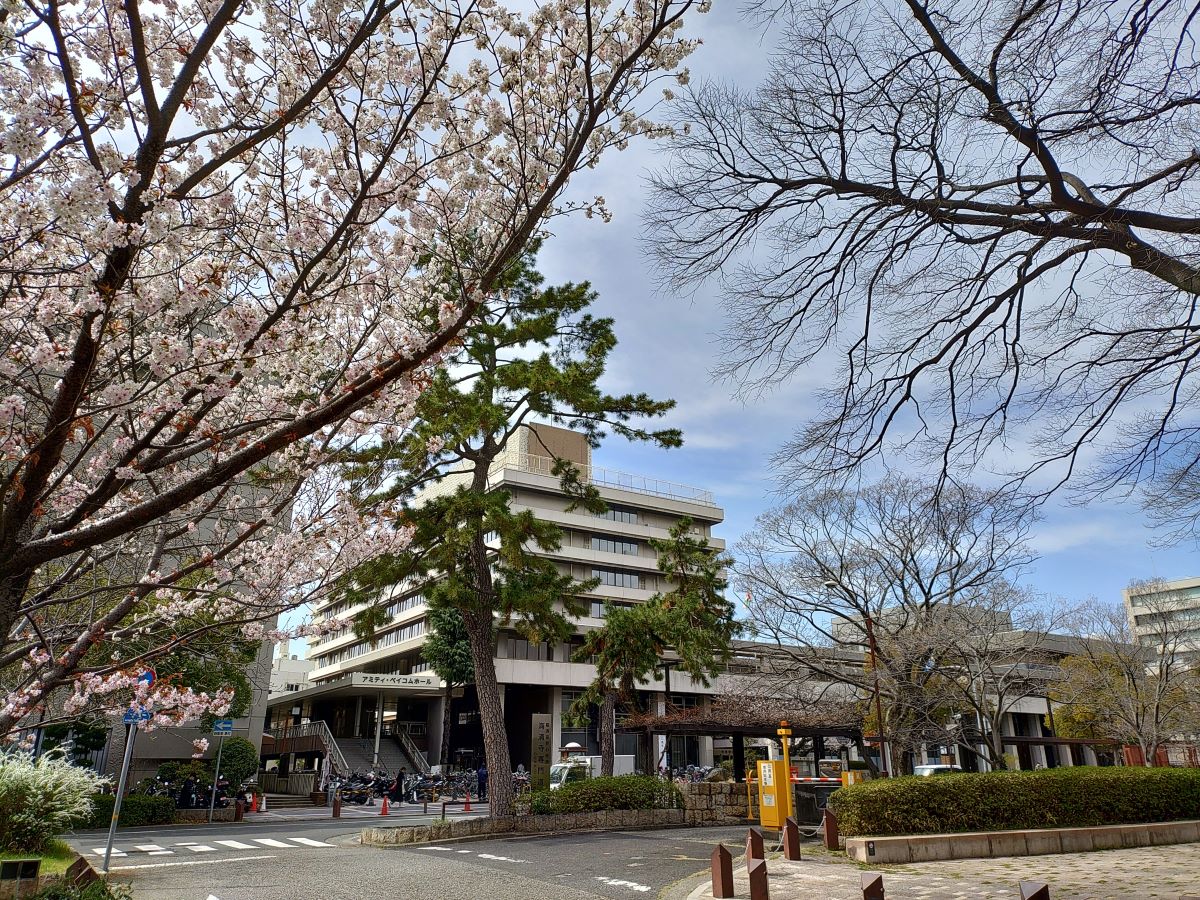 市役所