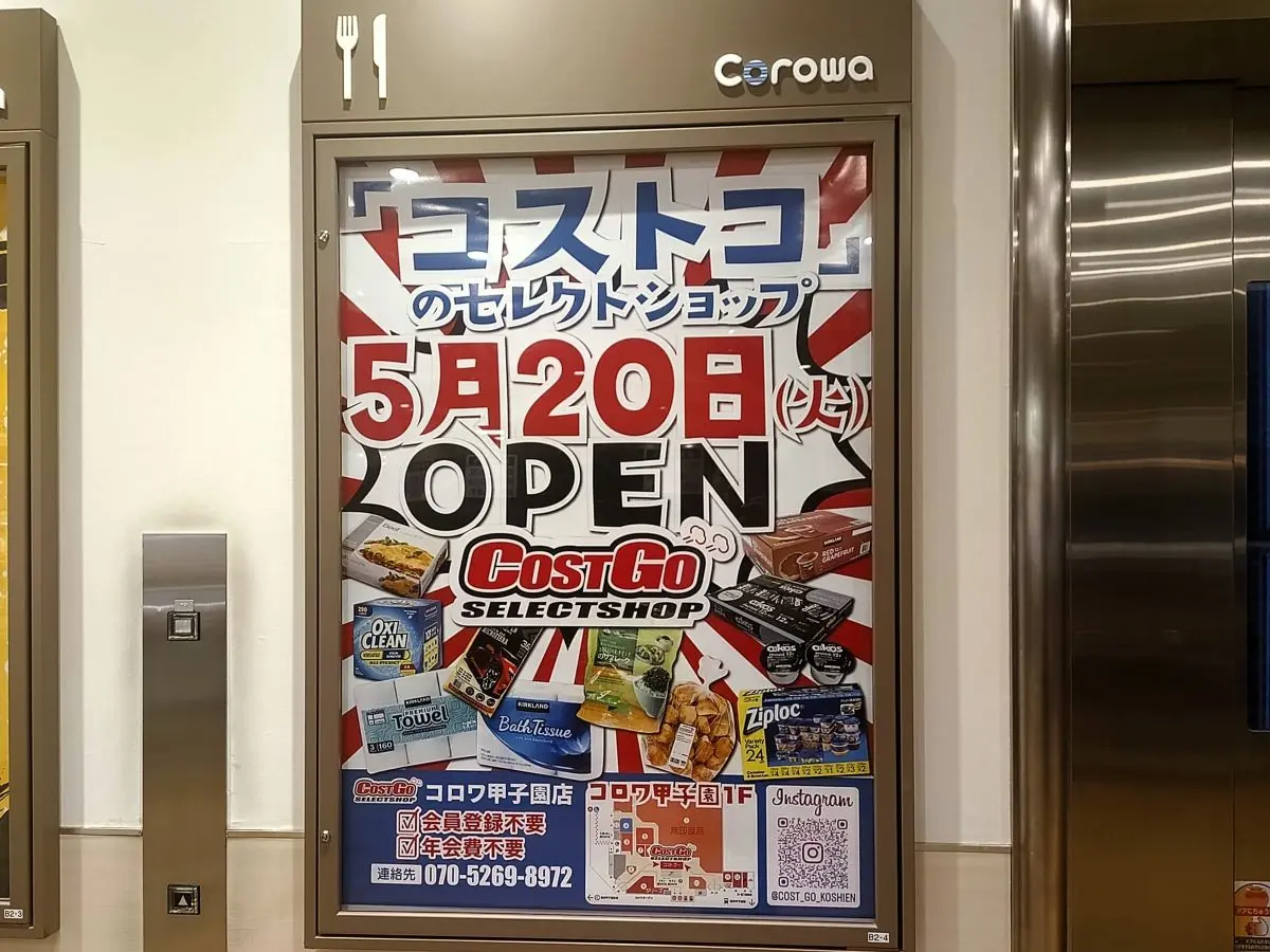チラシ