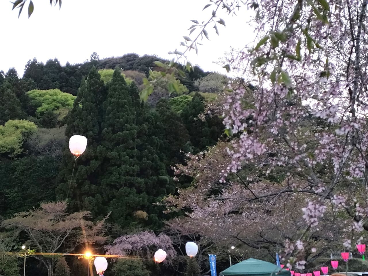 2023年4月8日「榊原温泉さくらまつり」