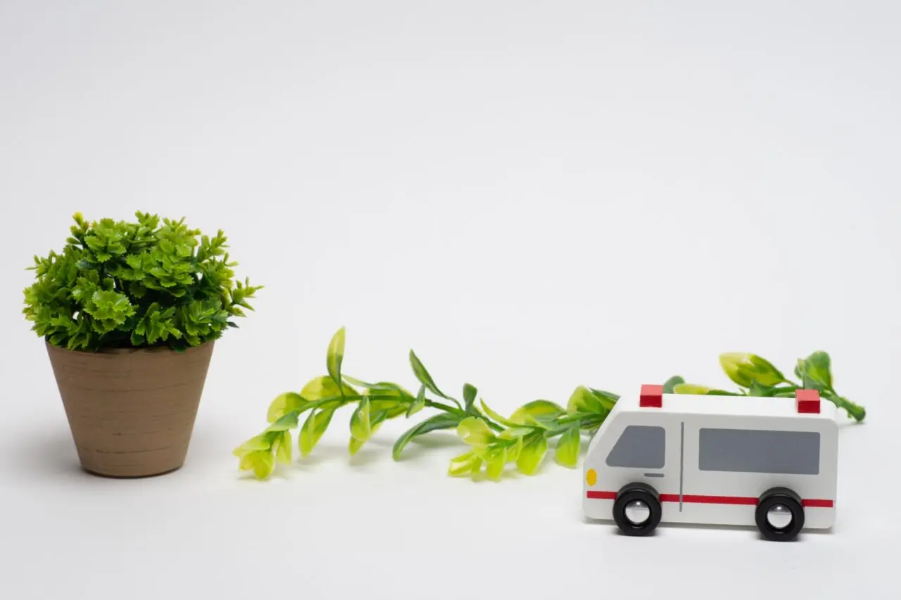 2026年3月20日開催「おやこで学ぼう 赤十字フェスティバル」