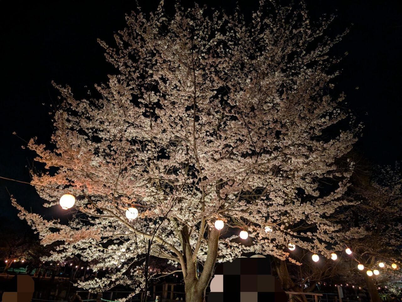 鶴ヶ島市運動公園 ライトアップ